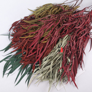 С�׹��~�ȼ����~���~����~�ɻ��ɻ������������l��Ȼ�滨������