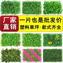 �ٲ�Ƥ䁉|�������ϻ�����ƺ���ݸ��೬���˹��Gɫֲ�����b������