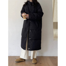 nAMHqŮ2024¿Ln溆sɰq