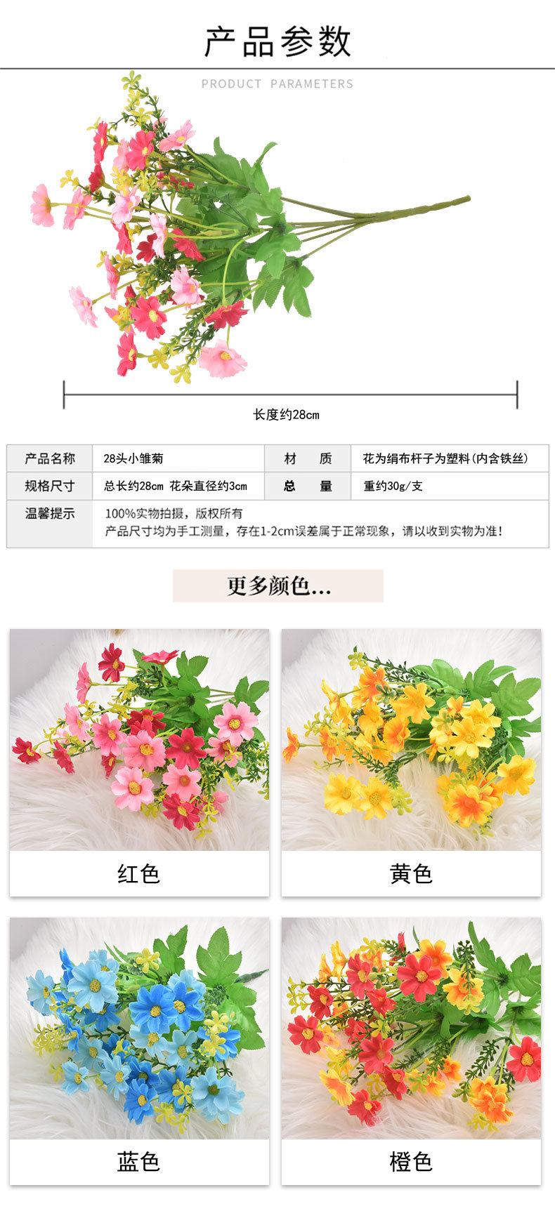鼓山-28头小雏菊_02.jpg