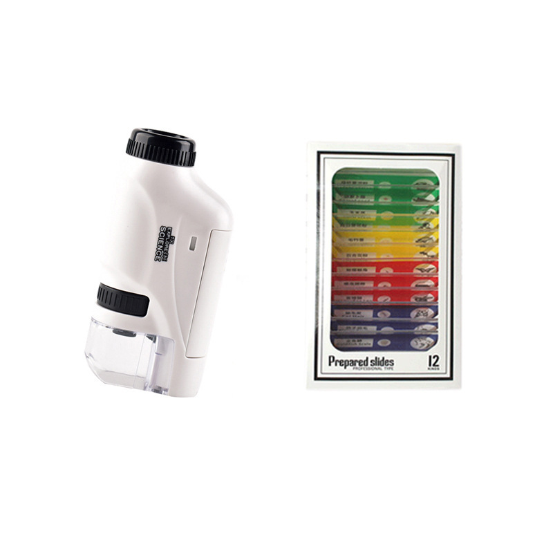 8602 (영어) * 흰색 + 색상 표본