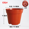 Mesh seedling pot red 170#[400