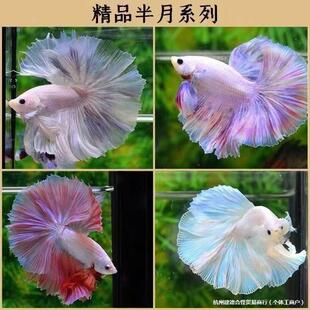 ���~̩�����װ���ҹ�Д[��С�~�ͻ������^�p�~��β���^�p�~������