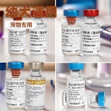 英特威宠物疫苗宠必威幼犬保二联优免康四联锐必威犬猫狂犬疫苗