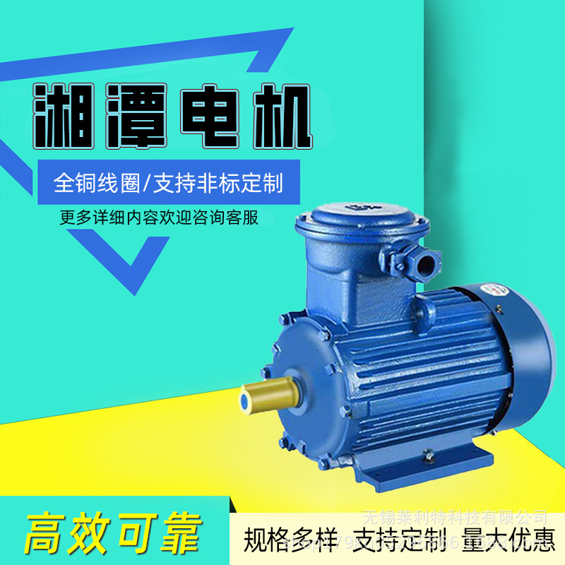 Hunan Xiangtan Electric Motor Ybx3 Series High-Efficiency Explosion-Proof Three-Phase Asynchronous Motor Direct Supply from the Manufacturer