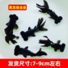 High-quality black dragon eyes 7-9cm 3 pieces + fish food