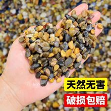 溪流石鱼缸底砂原生溪沙水草缸乌龟缸造景鹅卵石水族箱底部火山石