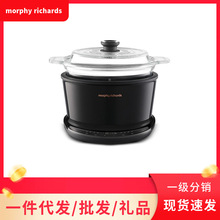 摩.飞电炖锅煲汤锅养生锅家用3.5L可预约定时炖汤电煮锅煮粥