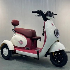新型Q70電動三輪車の小型女性家庭用成人は子供を迎えます。