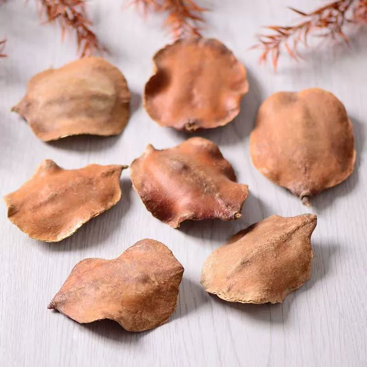 [Панцирь черепахи] Натуральные растения Сушеные цветы Плоды Мори Осенние свадебные украшения