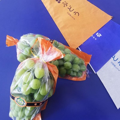 阳光玫瑰葡萄包装袋透明防雾晴王提子纸加膜一体果袋透气