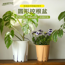 厂家现货圆形控根盆空气柱活性青山悬崖钵控根盆高颜值家用花盆