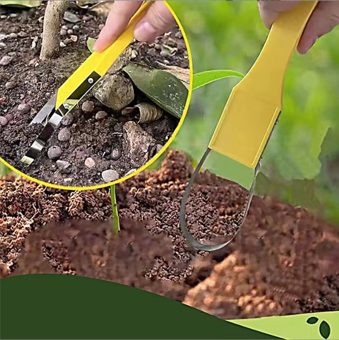 微信图片_20240817113959