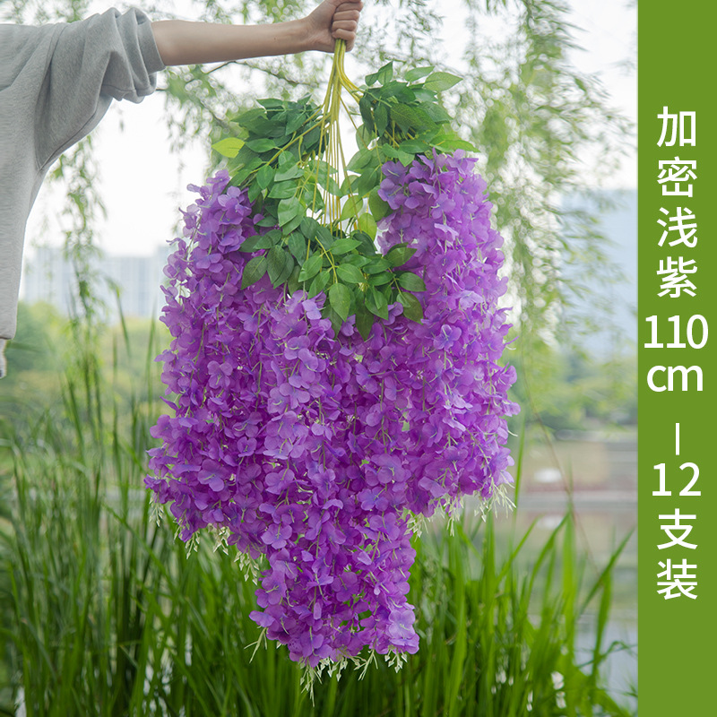 Light purple upgrade encryption 12 branches