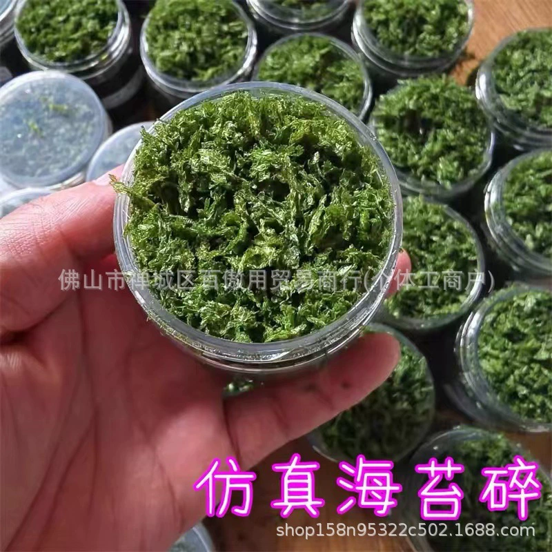 Щепотка музыка моделирования морских водорослей