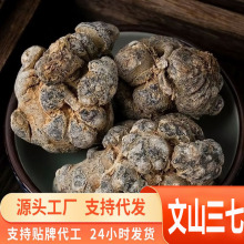 源头一件代发云南文山三七一等品整个头正宗非野生药材农户种植
