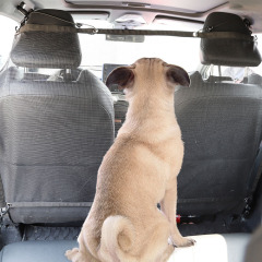 ペット犬の車載安全隔離ネット保護ネット猫犬保護ネットの後部座席の視界がいいです。