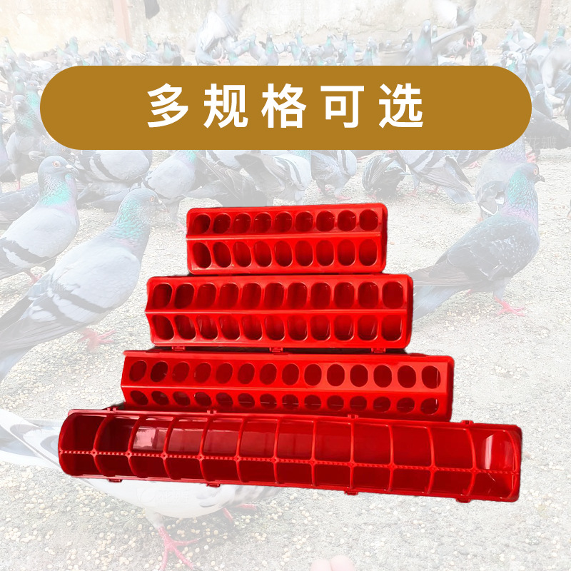Comedero automático rectangular para pollo, codorniz y paloma, cajón de alimentación para aves de corral