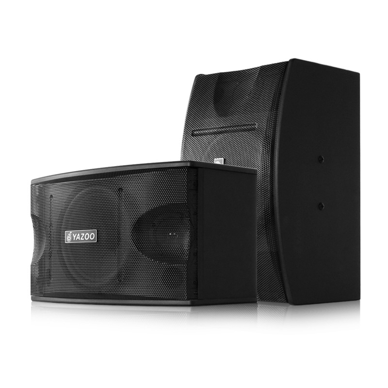 Altavoces de karaoke, altavoces de KTV, altavoces para conferencias y enseñanza, altavoces de karaoke, altavoces audiovisuales, altavoces de conferencia de 10 pulgadas