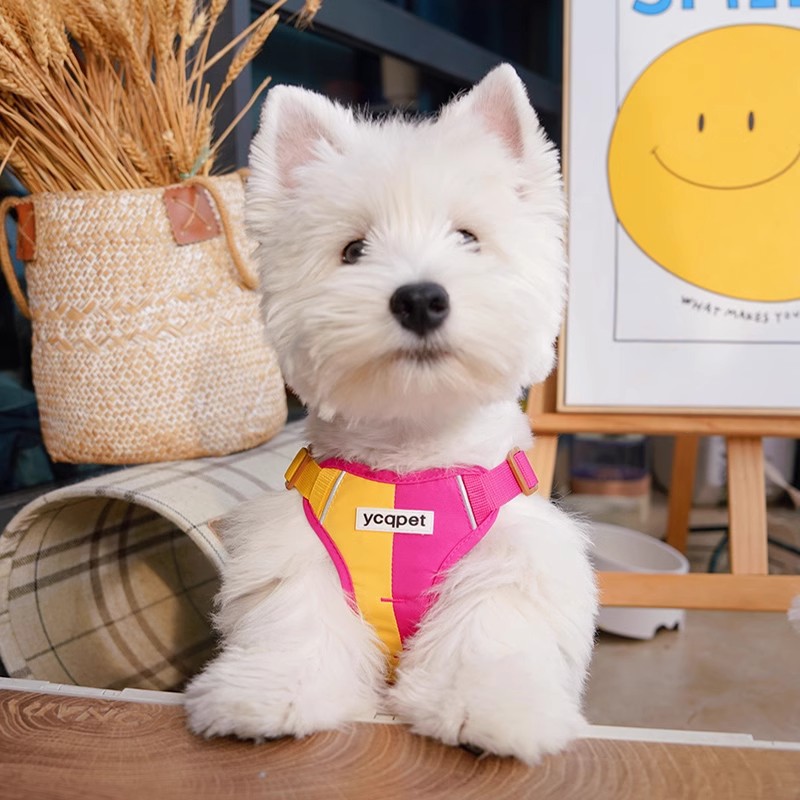 Reflektierende Weste für kleine Hunde, Hundegeschirr, Leine_voghion.com