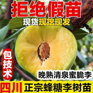 �Ĵ��������Ә���Ó����޽����A����÷���ϱ����Nֲ������Ә���