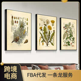 亚马逊艺术野花蘑菇蕨树浆果无框画植物花卉客厅装饰画厂家批发