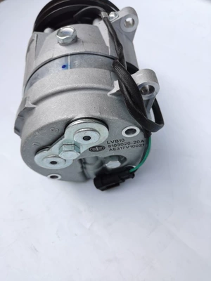 Hava kompressorları: compressor liberation J6L automobile air