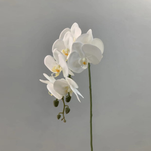 ���滨���l�����^�z�ָ�7�������m�Ҿӻ�c��ѩ�m�͏d����ʽ�b�