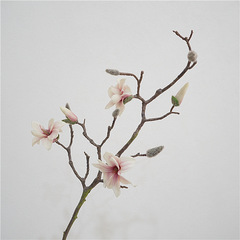 High-quality simulated flower hand-feeling magnolia living room coffee table decor floral arrangement plastic fake flowers