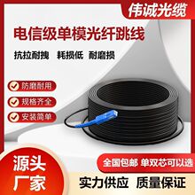 Ƥ�����w������ģ��оSC�^�pо�����҃��������|��Ʒ�����L��