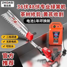 48v늄֦늄޼Cʲ~G늾GhC