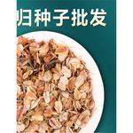 当归种子材新当归种子种苗岷县当归种籽孑党参枸杞黄芪大田种