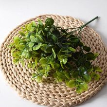 �����ȼ������X��ֲ�����ϻ��� �Ҿ��b���Gֲ�辰ֲ��廨