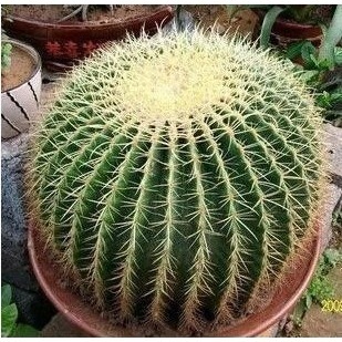 ���� ��̖ ������ ��� �k��������ֲ���ݗ��