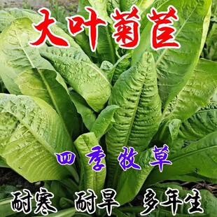 �M�ڌ�܊���ķN�Ӵ��~���Ķ������ļ����ݷN���iţ���u���Z�~����