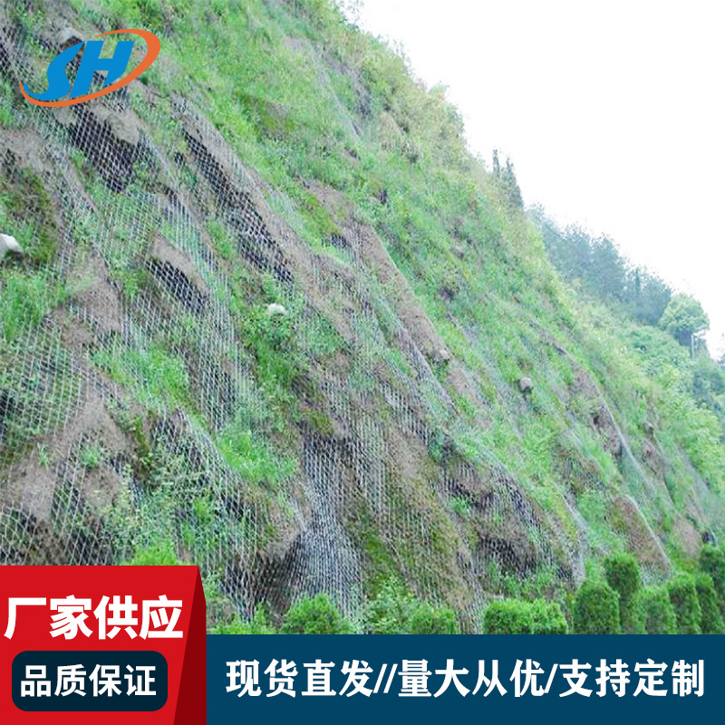 喷播植草网边坡绿化网护坡钢丝网喷播植草铁丝网喷浆网镀锌勾花网