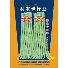 rԴжǷNLNѸ߮aļ߲ѷN