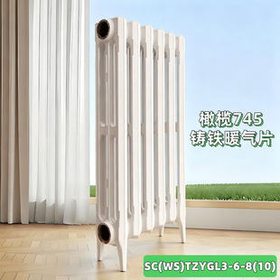 SC(WS)TZYGL3-6-8(10)�����ϙ�745���T�Fů��Ƭ��ǻ�oɰ���T�F645