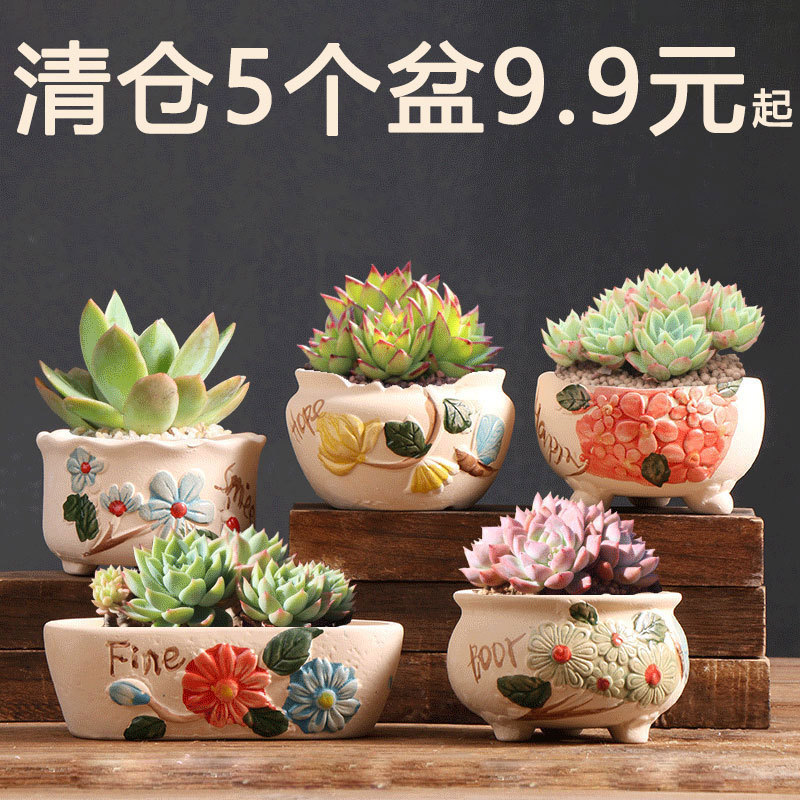 Macetas suculentas Macetas de cerámica Oferta especial Creativo Macetas especiales para plantas de carne pequeña Venta al por mayor Venta directa de fábrica Macetas de cerámica