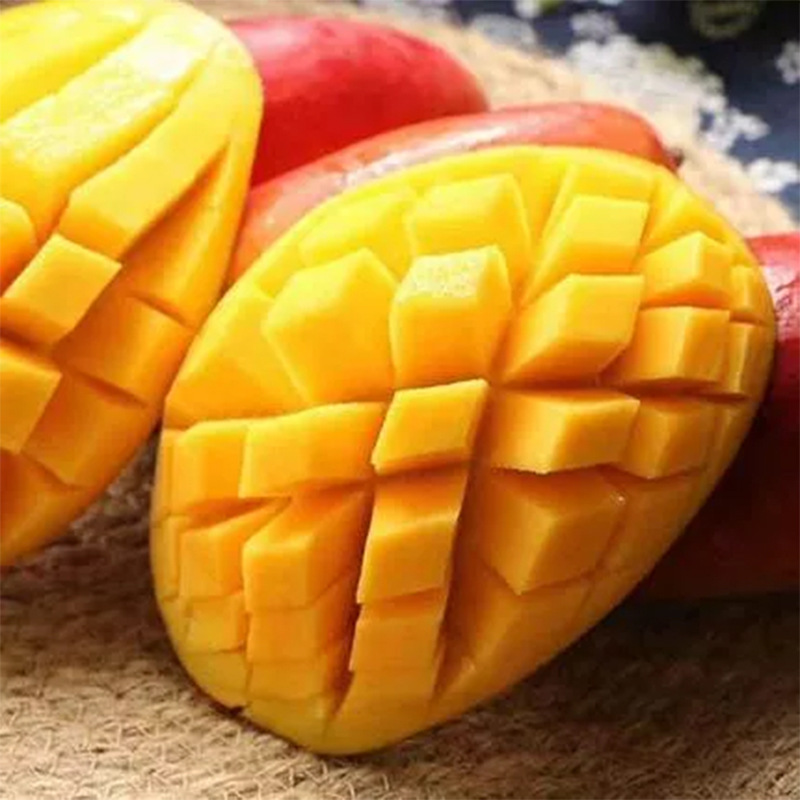 Tree Hainan Royal Mango fresh 10 Should Tropical fruit Sweetheart Large fruit Full container Gifts