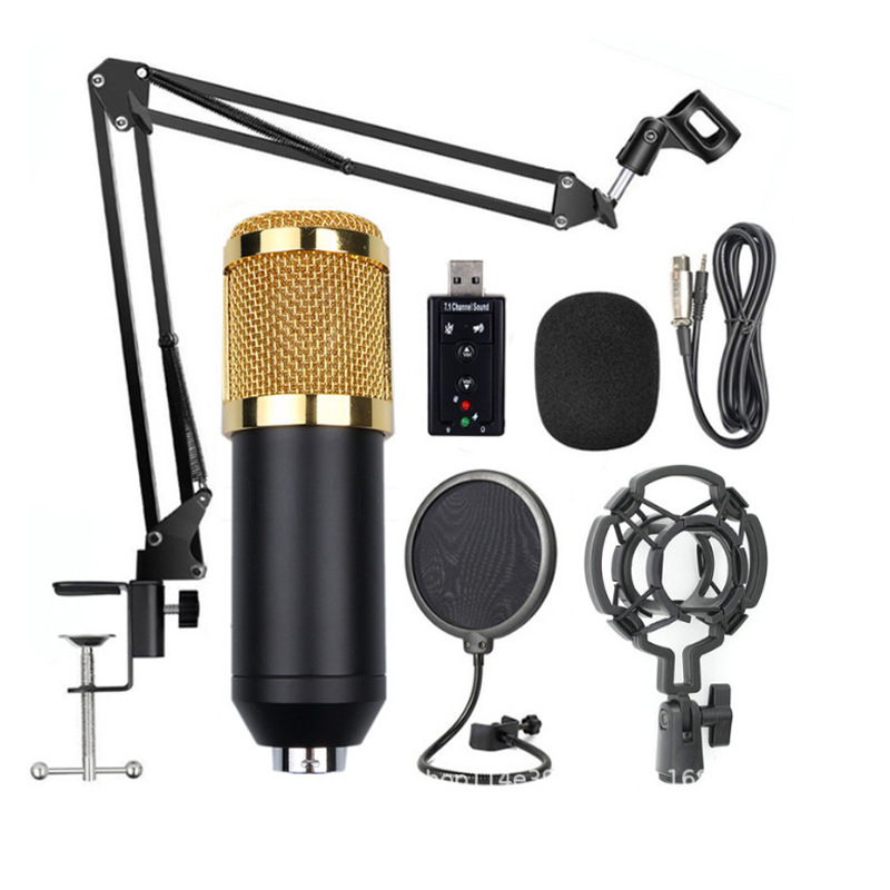 Factory Source BM800 With Reverberation Condenser Microphone Free Independent Sound Card Free 48V Phantom Power Set