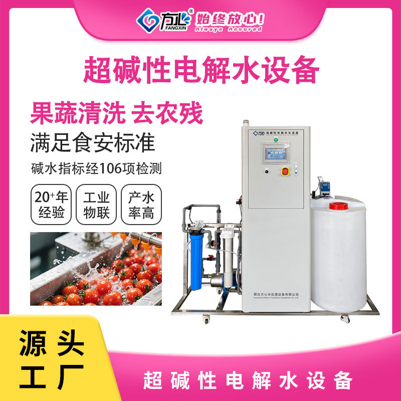 强碱性电解水加电水处理设备强碱水设备果蔬清洗杀菌保鲜去农残