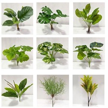 ����G�}�~ ��ɪ��׾Gɫֲ�� �Gֲ����@�W���b� ���ܹ��~�ݲ�