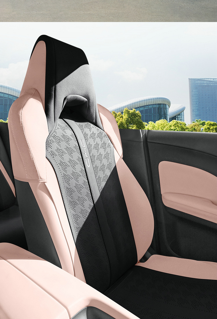 2025 BYD Seagull Seat Cover Glory Edition Special Cushion Haiou Four Seasons Universal Seat Cover Car Seat Cushion 25