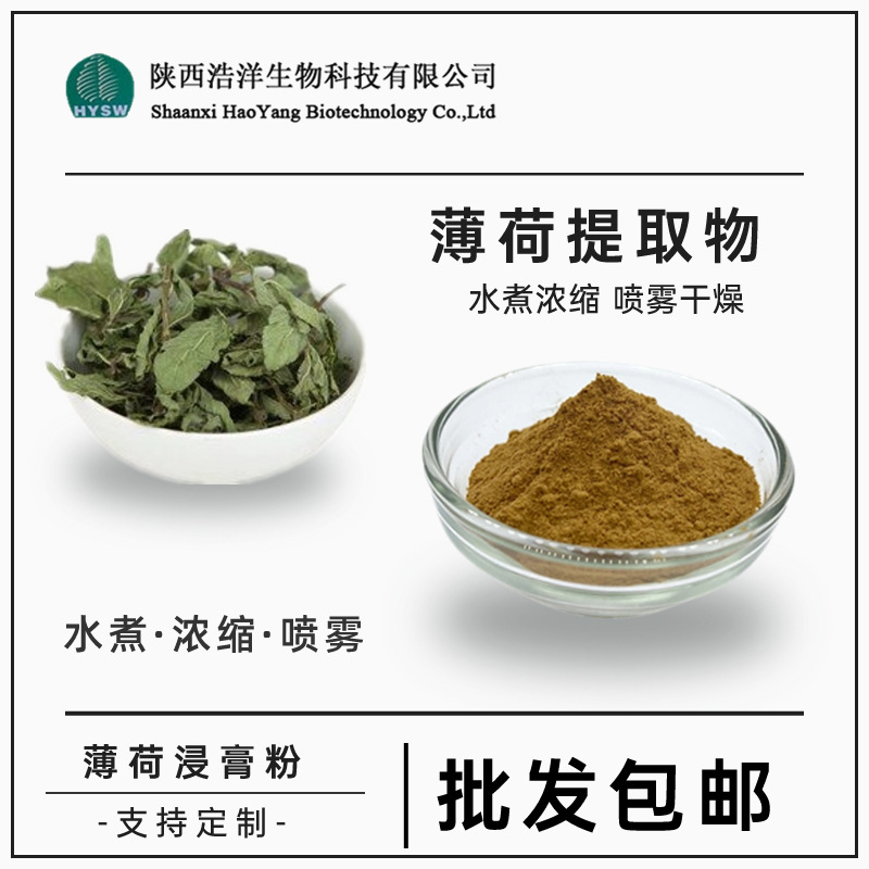 민트수농축분말 10:1