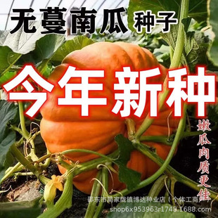 �o���ϹϷN�ӷ�Ŵ�������Ϲϰ���ζ�����ϹϷN�ѸC���Ϲ�Ʒ�N��ȫ