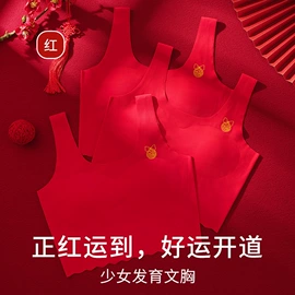 女士大码内裤;女士三角裤;男士平角裤