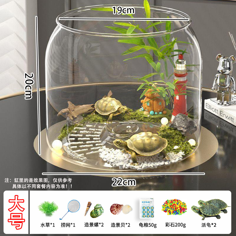 Send a breeding gift package + 2 turtles / Panoramic round turtle tank large