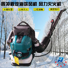 �ĳ�̷������� ɭ�ֲ�ԭ��������� ����·�潨�����ϴ����