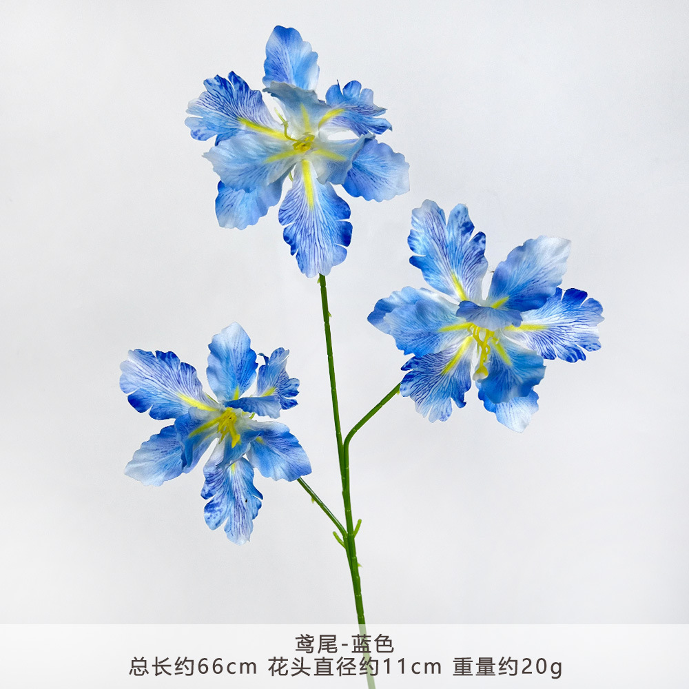 HT-鸢尾-蓝色